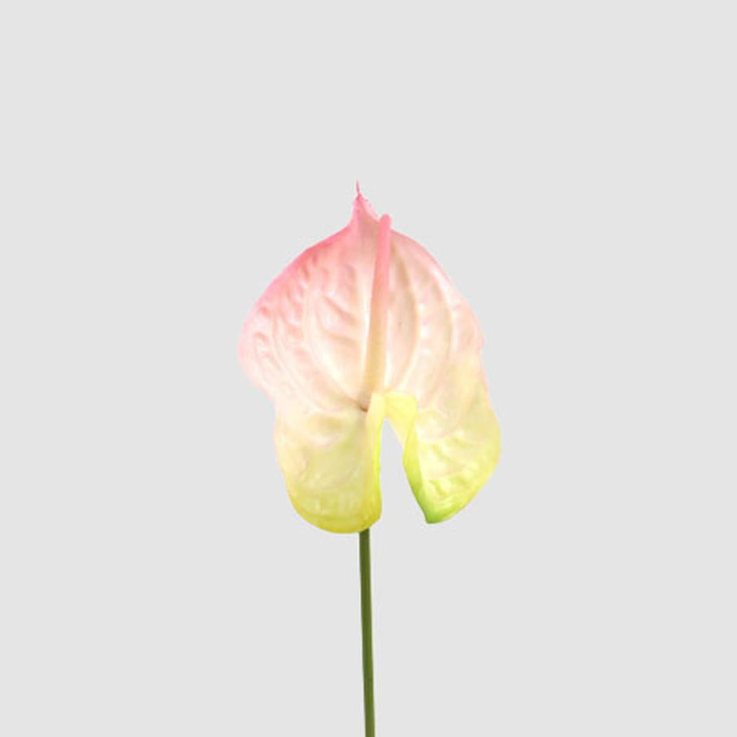 Anthurium Lily Real Touch Pink