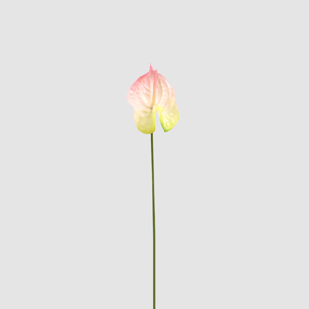 Anthurium Lily Real Touch Pink