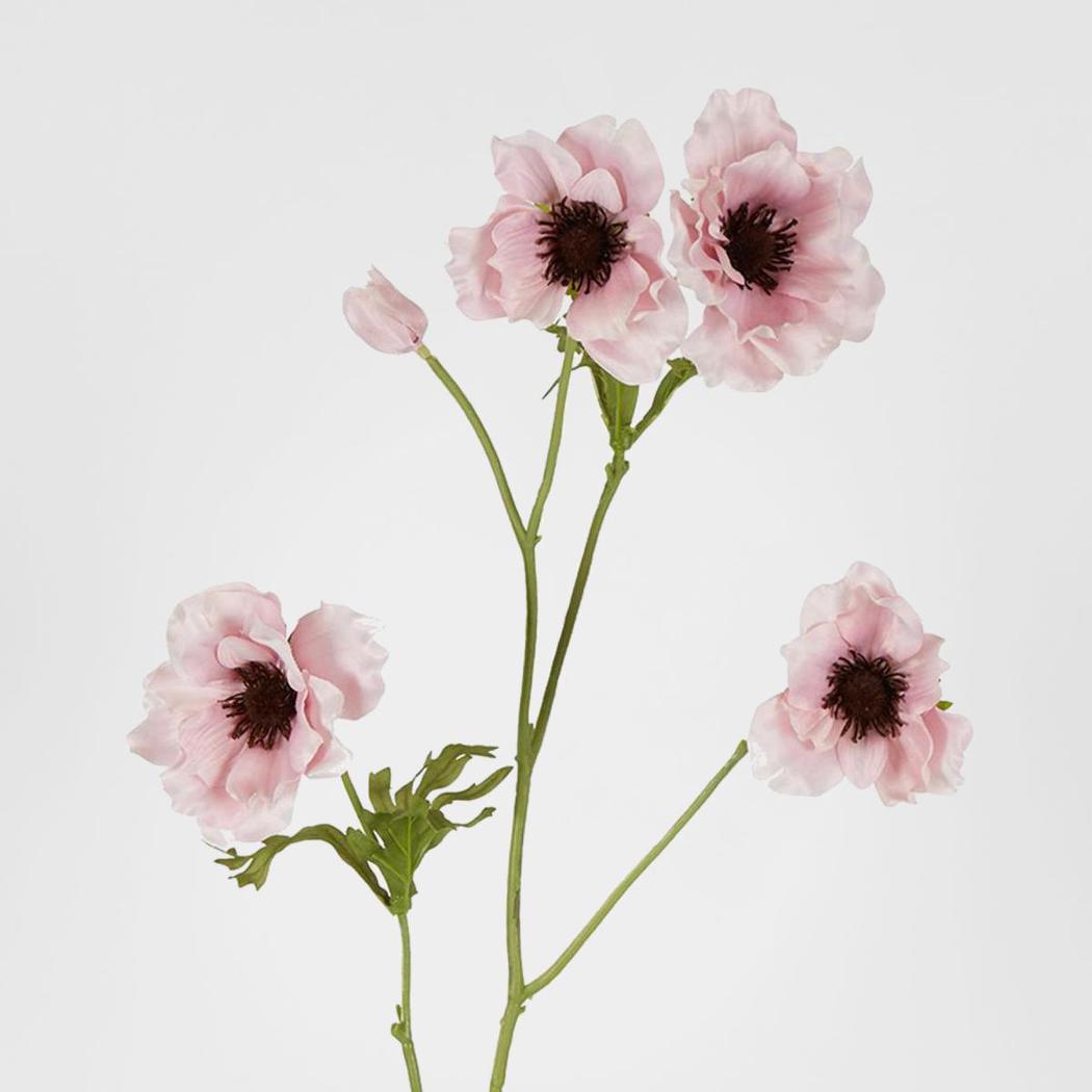 Anenome Stem 90cm Pink