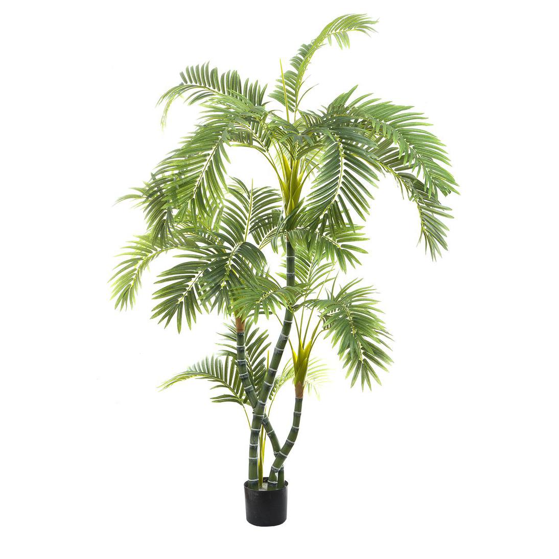 Areca Palm Twisted Trunk 1.7m