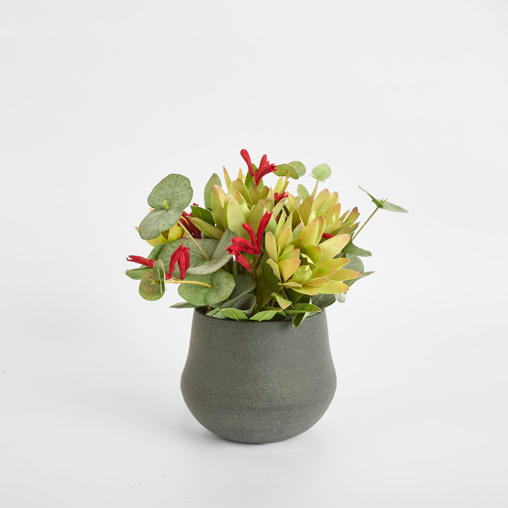 Alsanne Arrangement