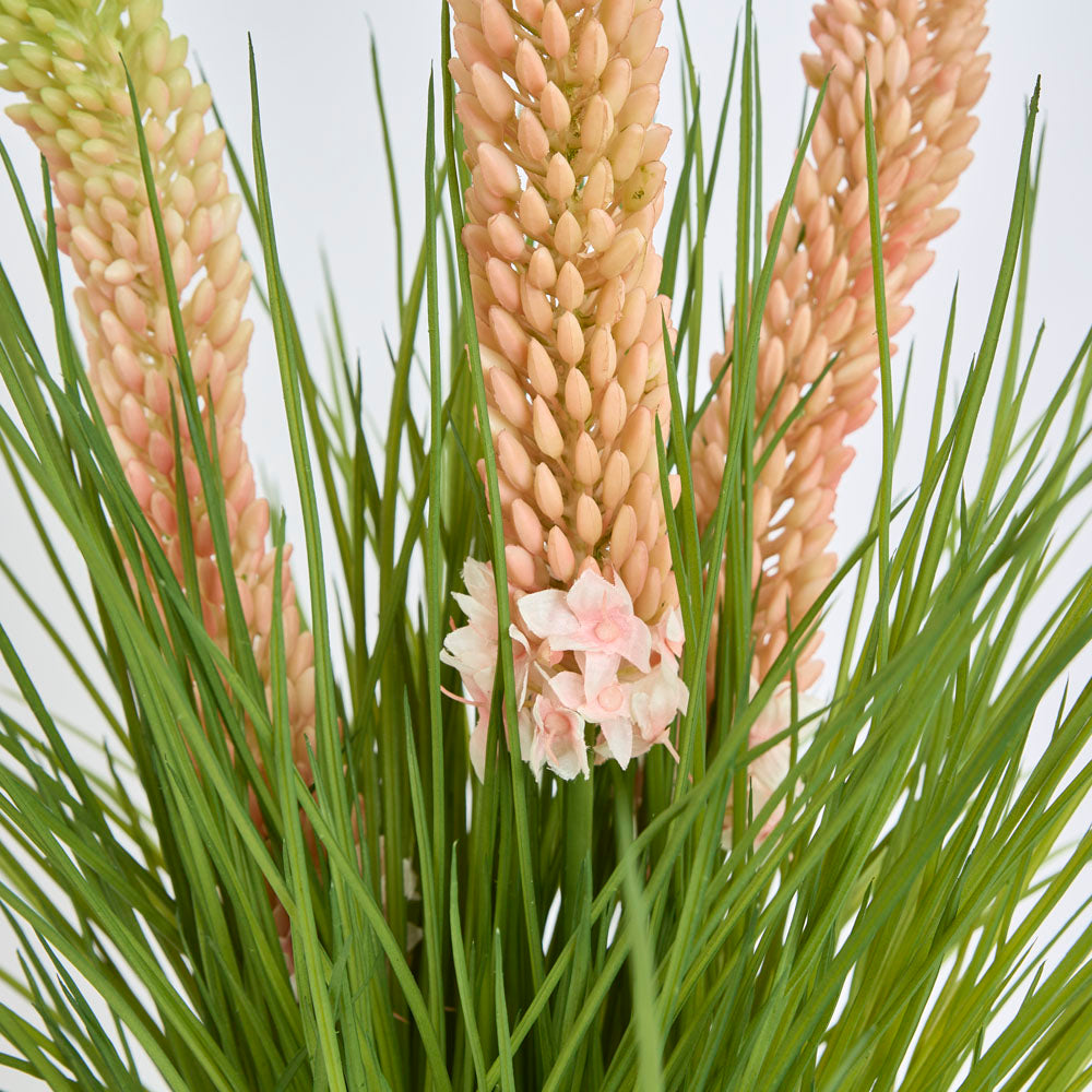 Pink Foxtail Arrangement White