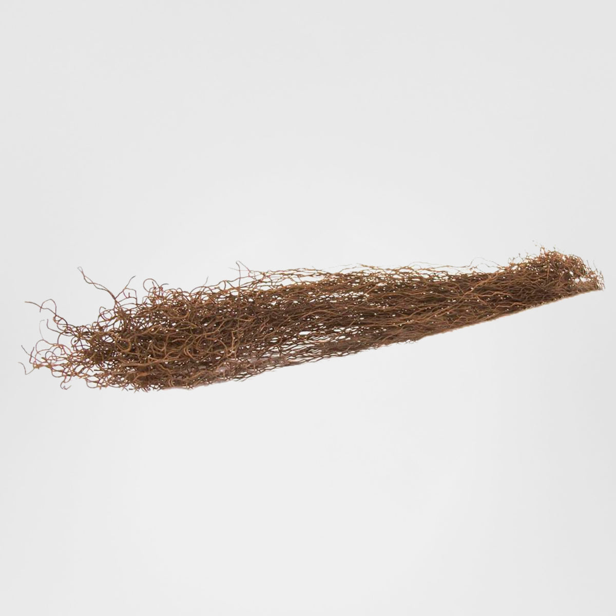 Bramble Vine 50cm Brown