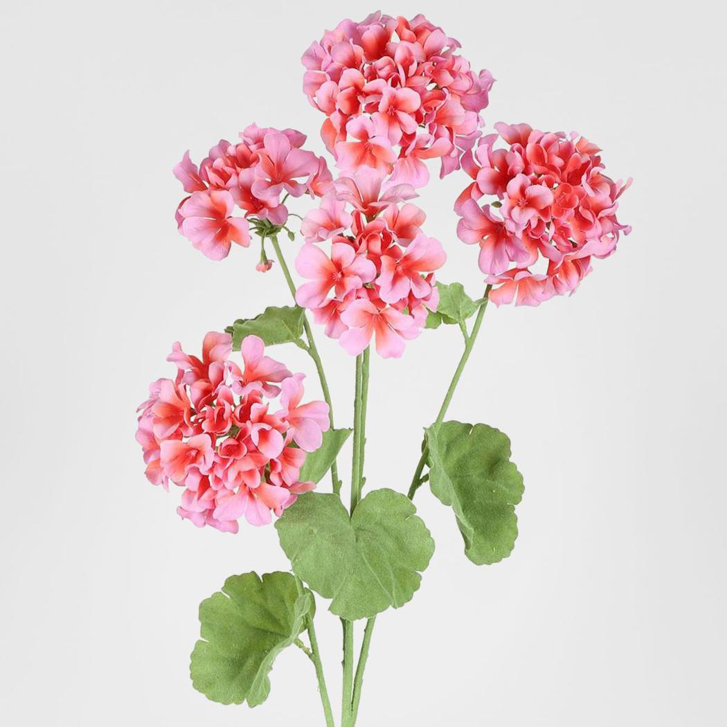 Begonia Spray 94cm Pink