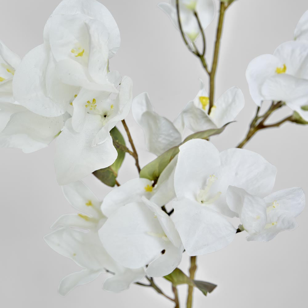 Bougainvillea Spray 97cm White