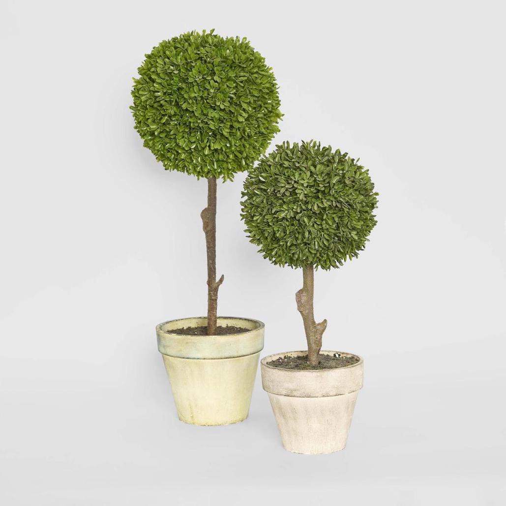 Boxwood Topiary 47cm