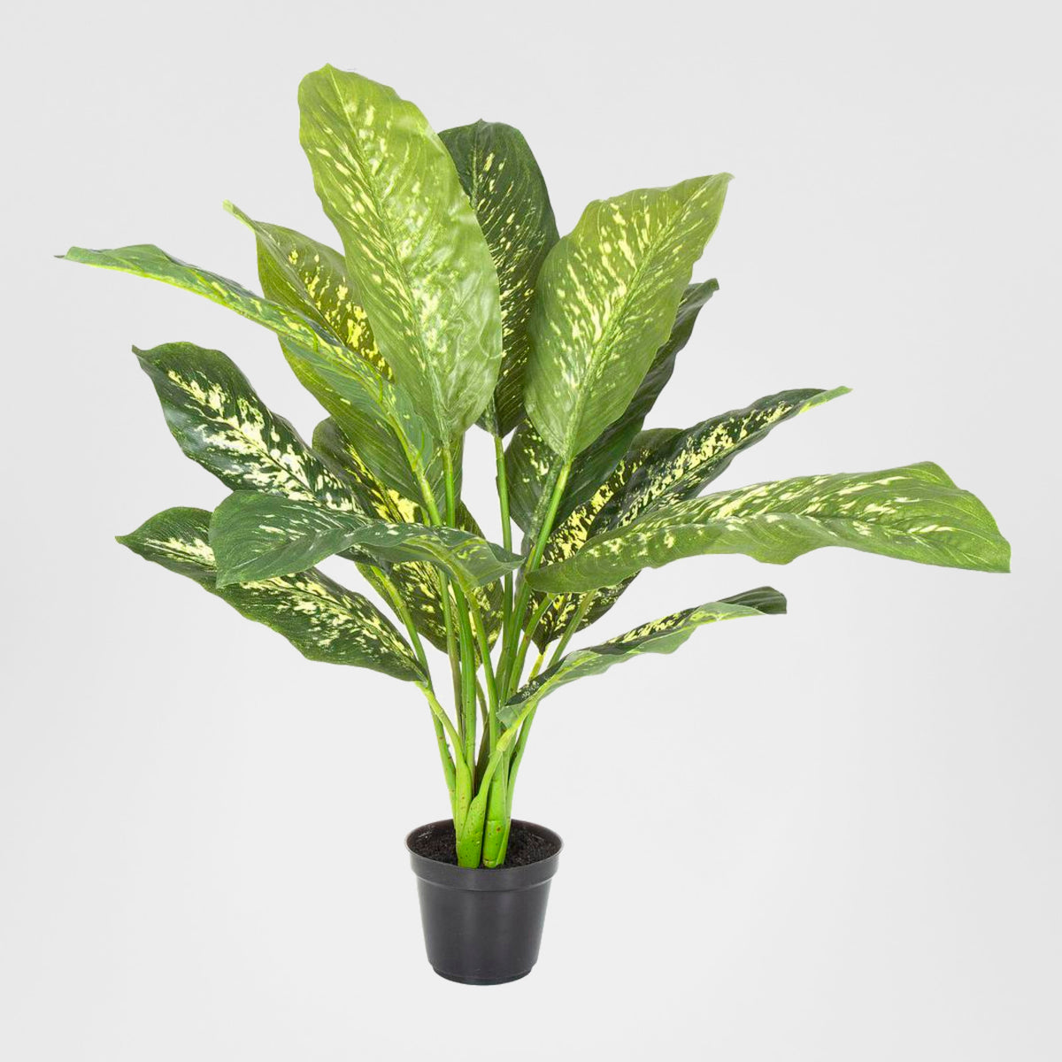 Cane Plant Real Touch in Pot Medium 63cm