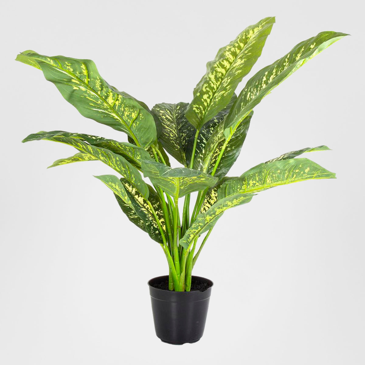 Cane Plant Real Touch in Pot Large 85cm