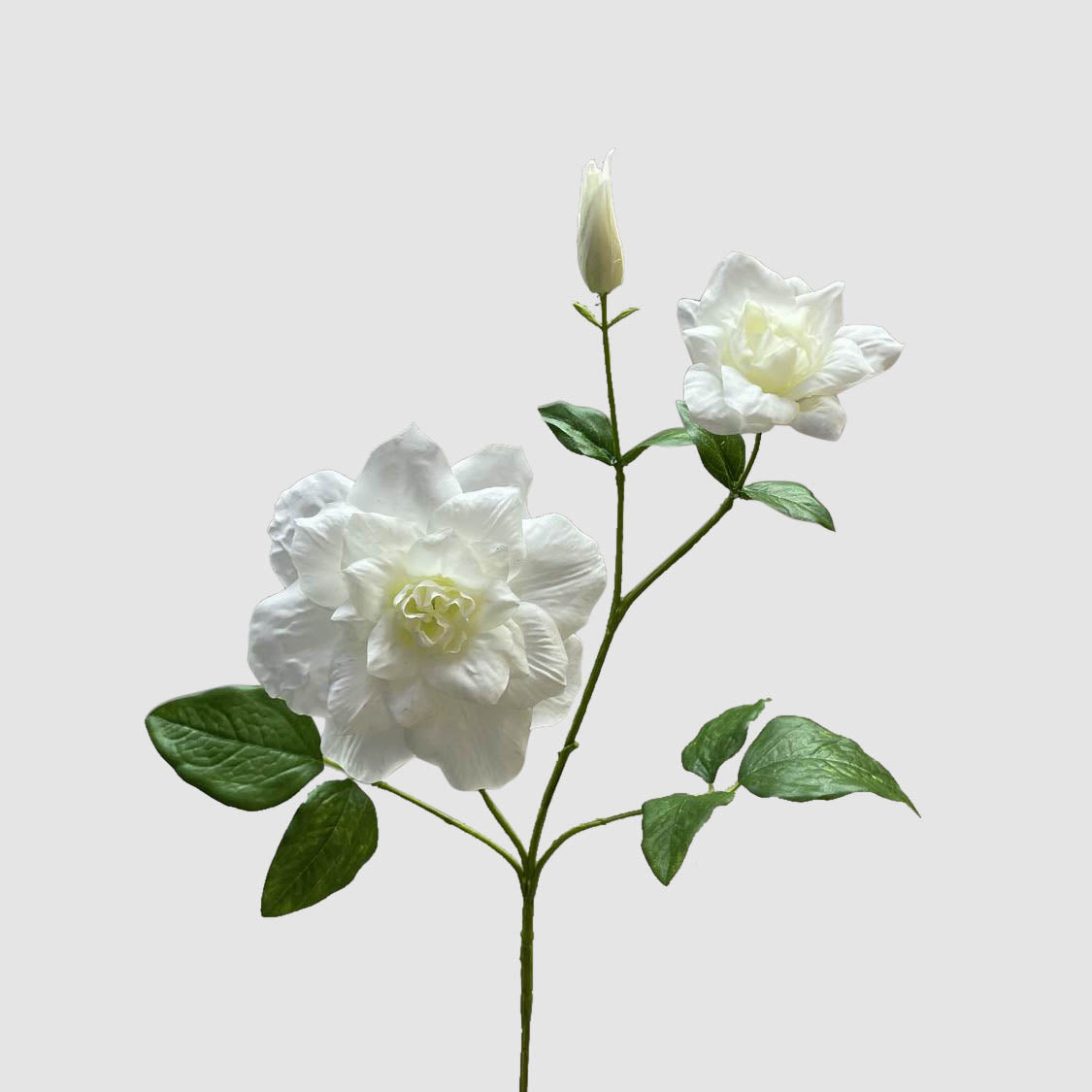 Clematis Flower White 72cm