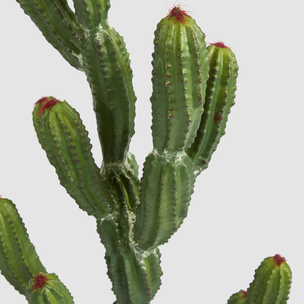 Potted Cactus 98cm
