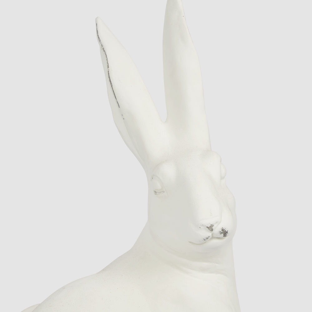 Henry Hare Sitting Large White
