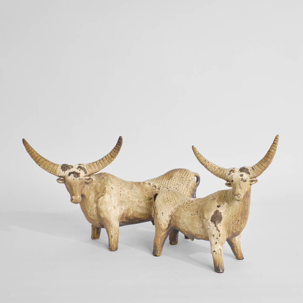 Angus Ceramic Bull A
