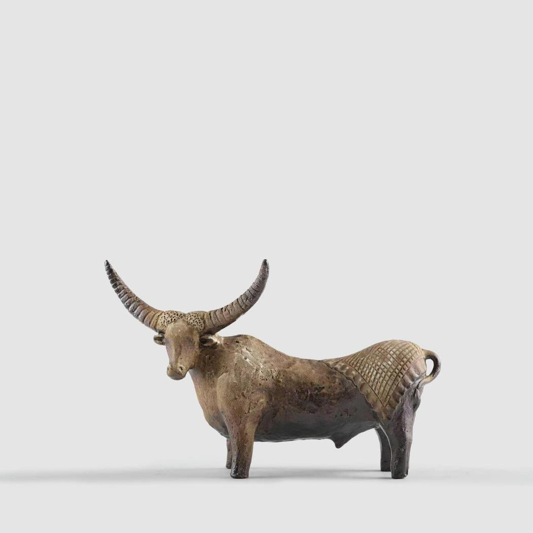 Angus Ceramic Bull Short