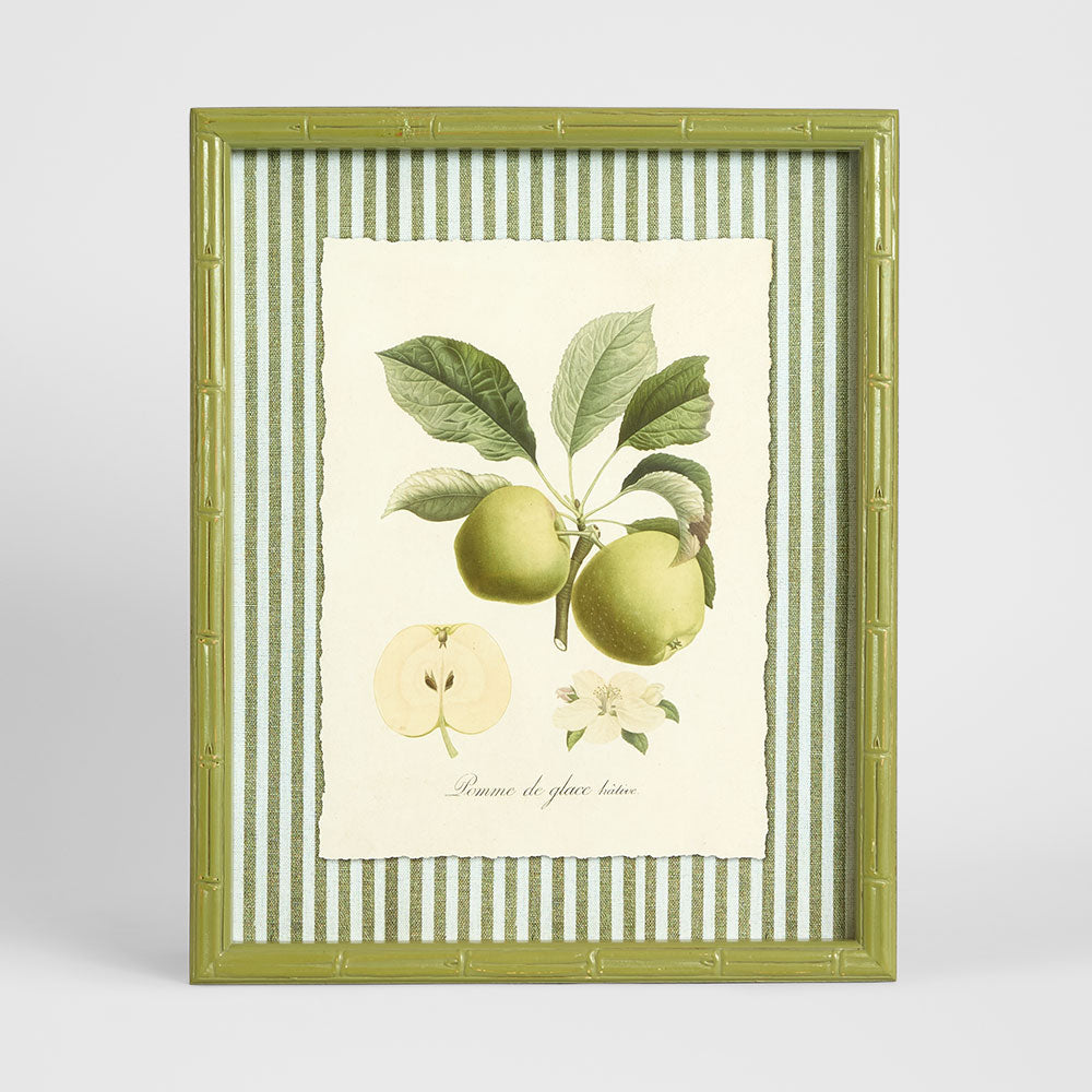 Apple Study 1 Wall Art 34x42cm | Florabelle – Florabelle Living