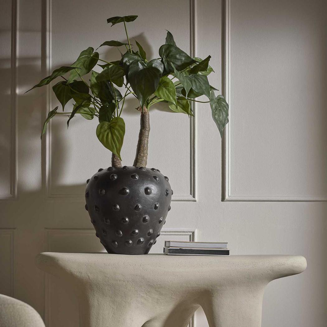 Zia Pot With Dots