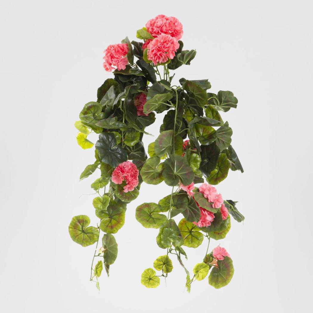 Geranium Bush Trail 60cm Peach