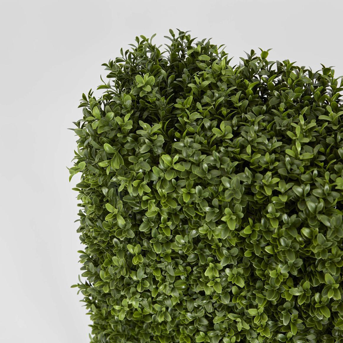 Boxwood Hedge 55x95cm