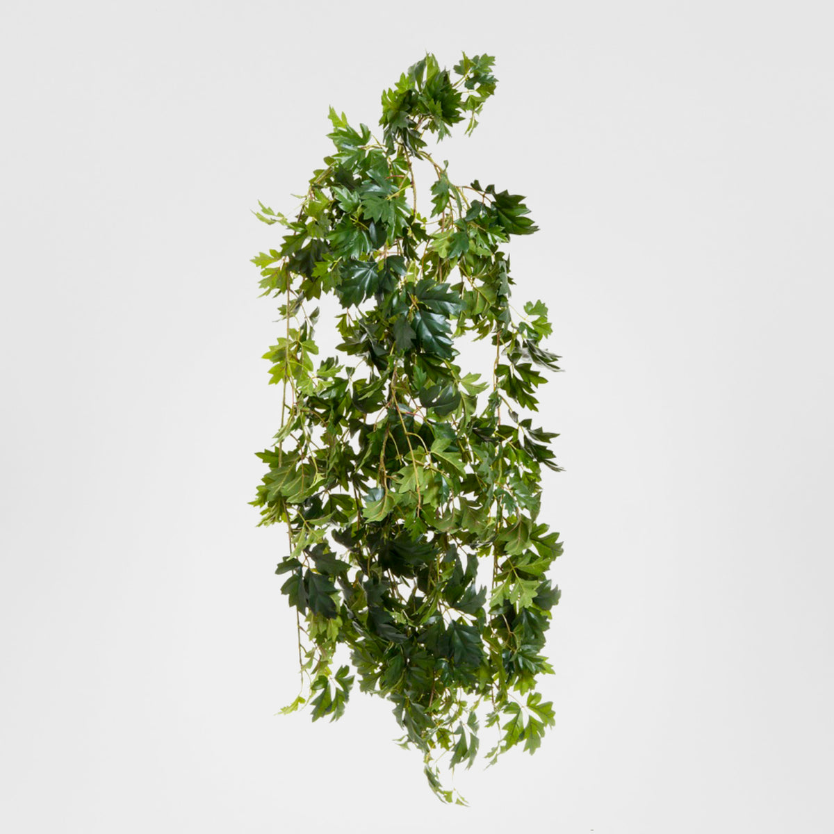 Hanging Cissus Bush UV Coated 1.1m