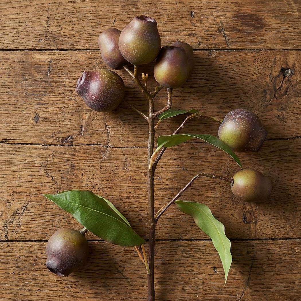 Eucalyptus Burgundy 67cm Green