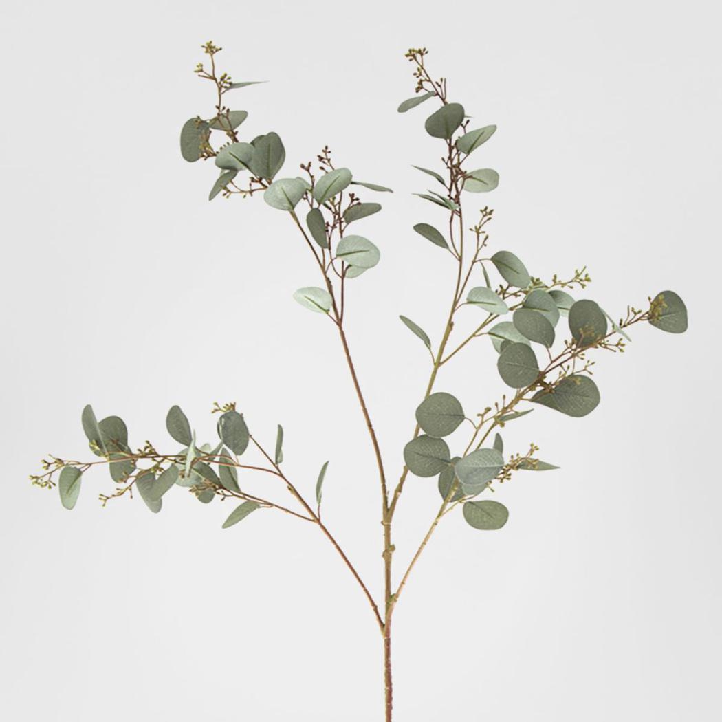 Eucalyptus berry Seed Spray 1.2m