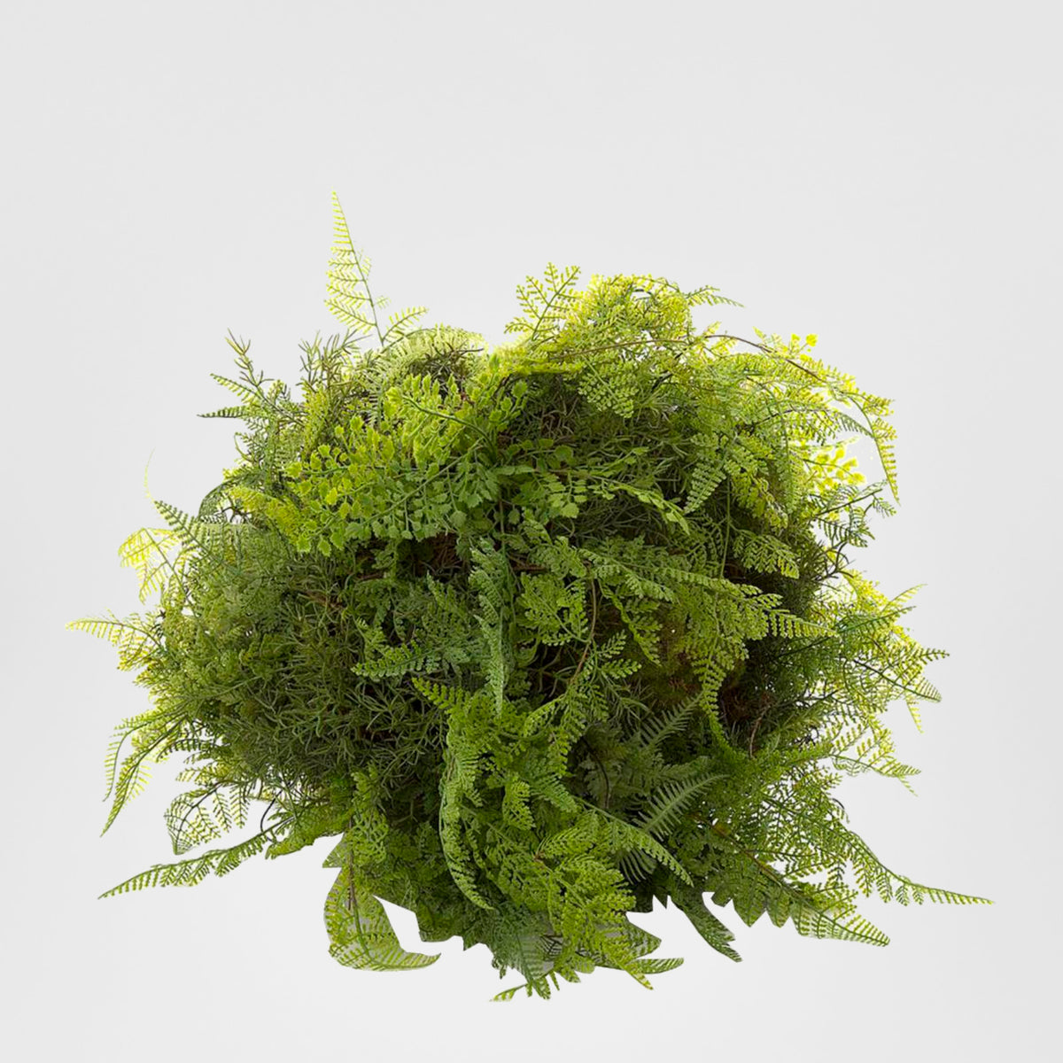 Fern Ball Mix 50cm