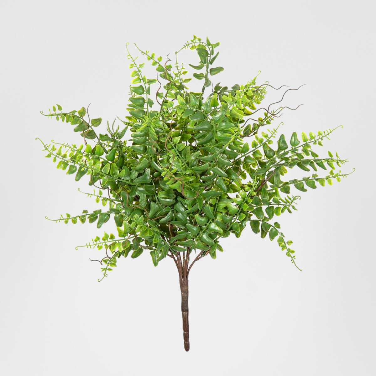 Fern Bush 45cm