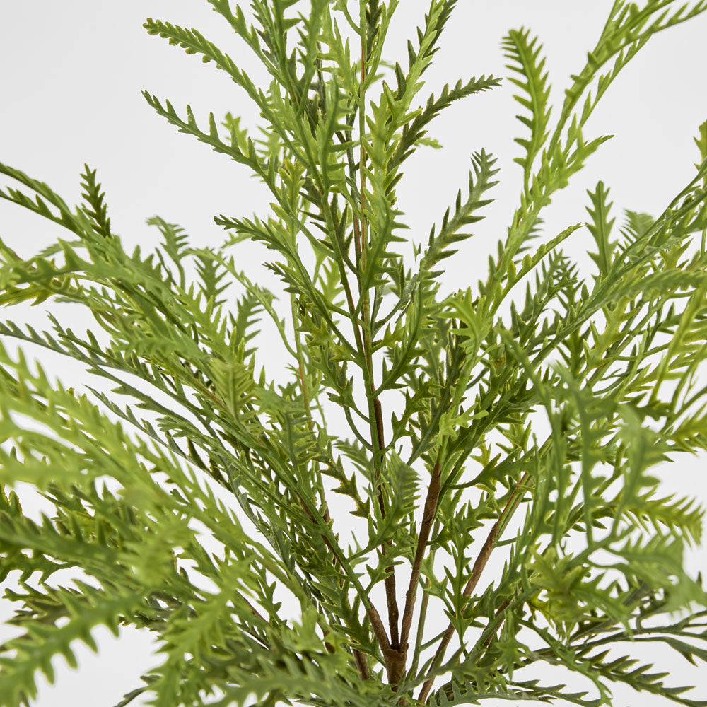 Real Touch Fern Bush