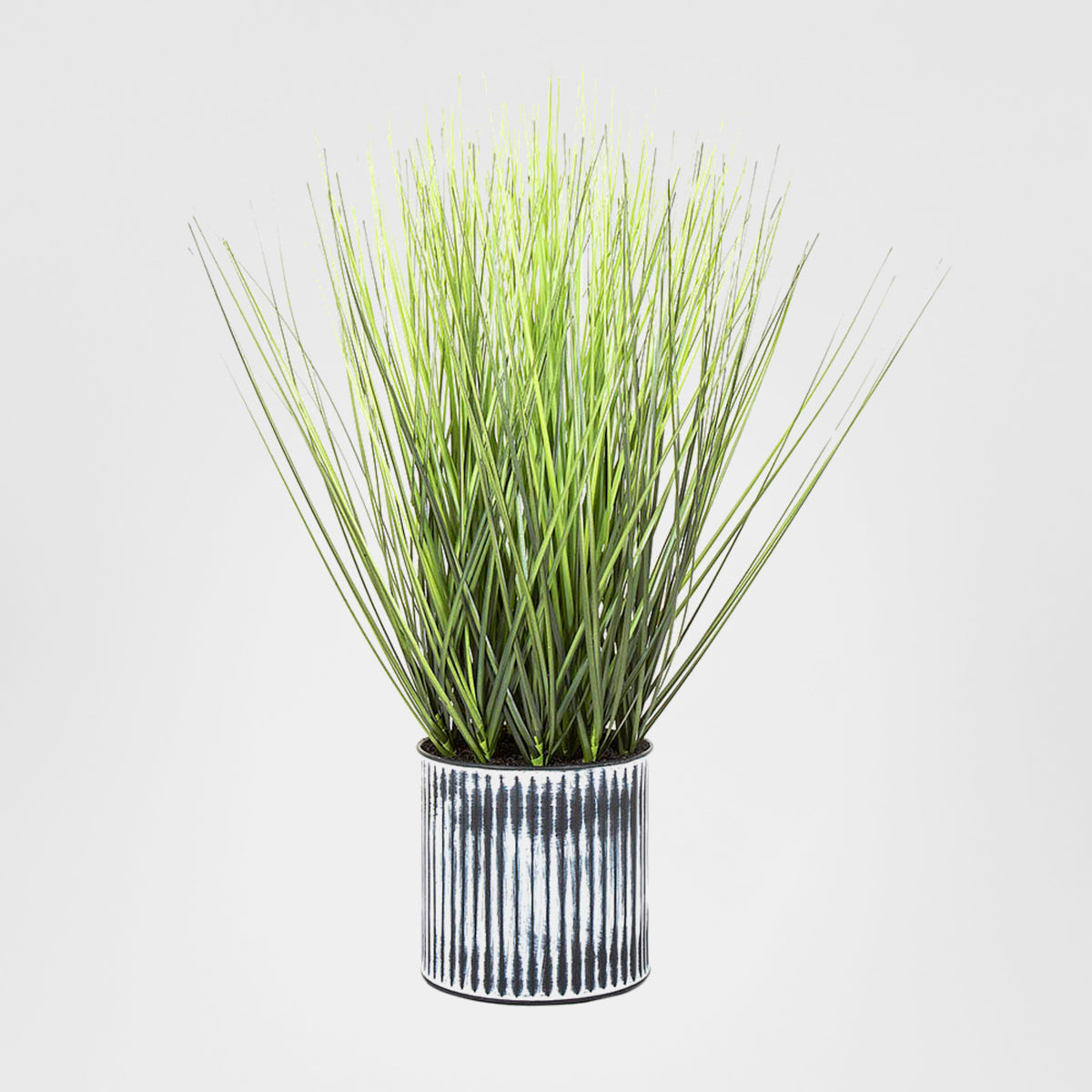 Grass in Pot 48cm