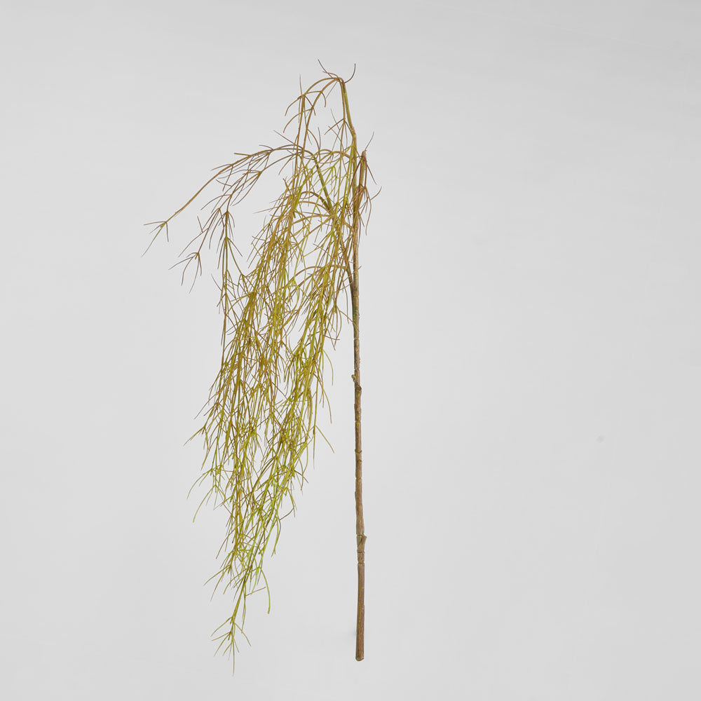 Coral Grass Green 156cm