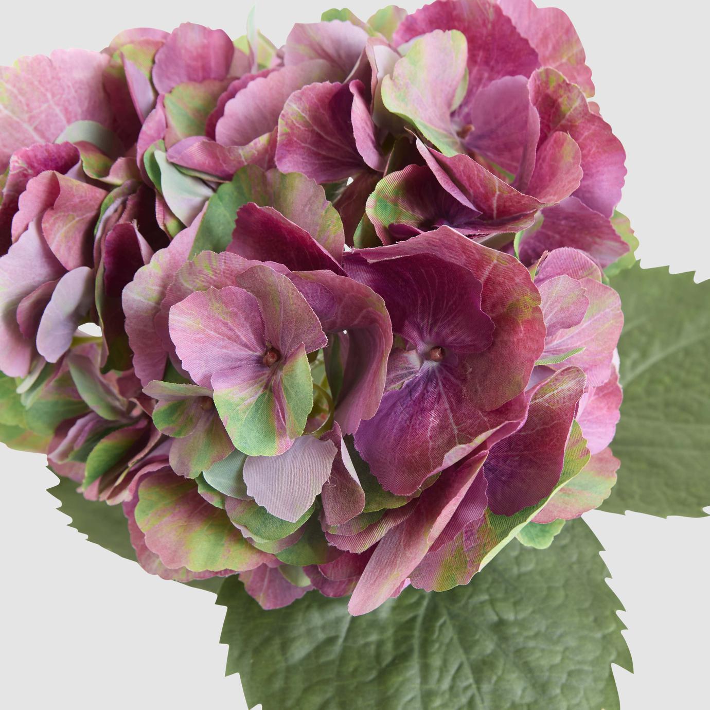 Hydrangea Large Stem With Leaves 75cm Dark Pink