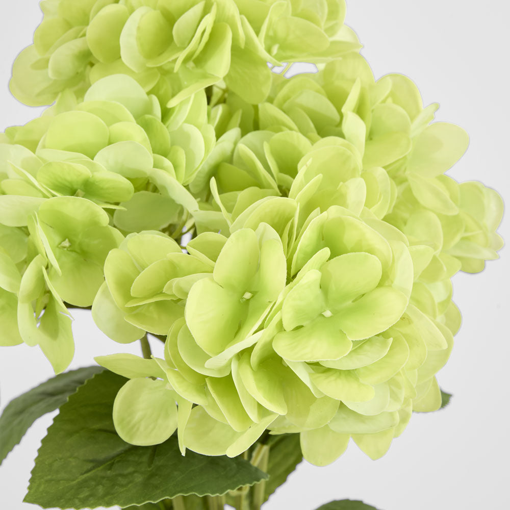 Fresh Touch Hydrangea Bunch Green