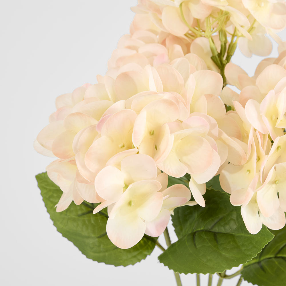 Fresh Touch Hydrangea Bunch Light Pink