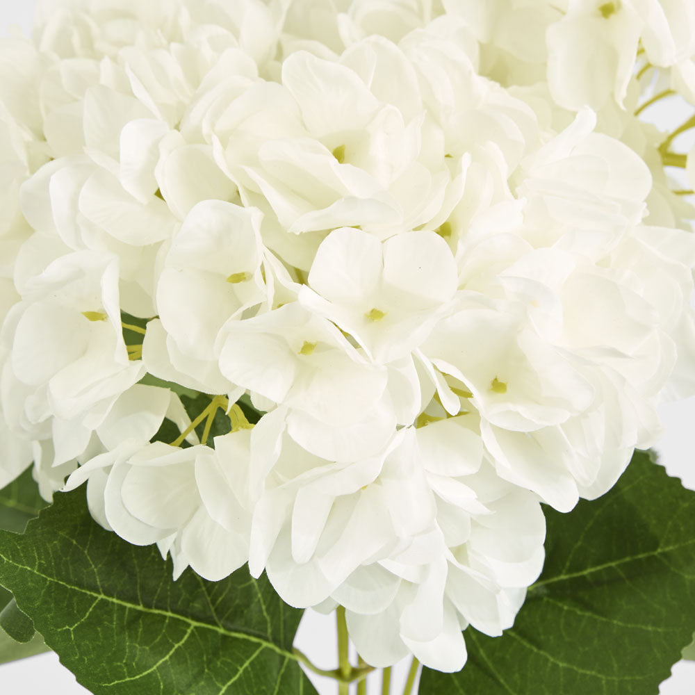 Yasmin Hydrangea Bunch White