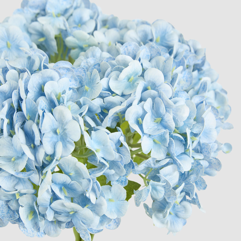 Mini Hydrangea Posy Blue
