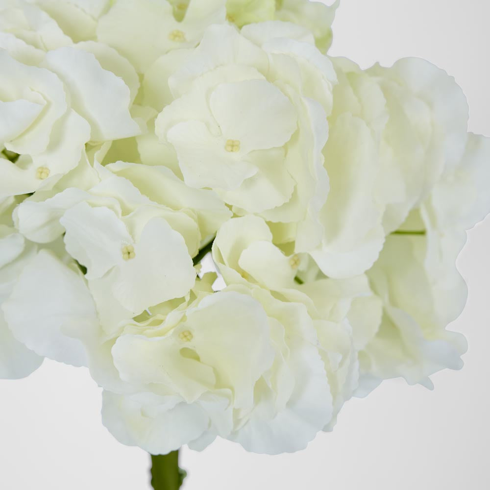 Hydrangea 50cm White