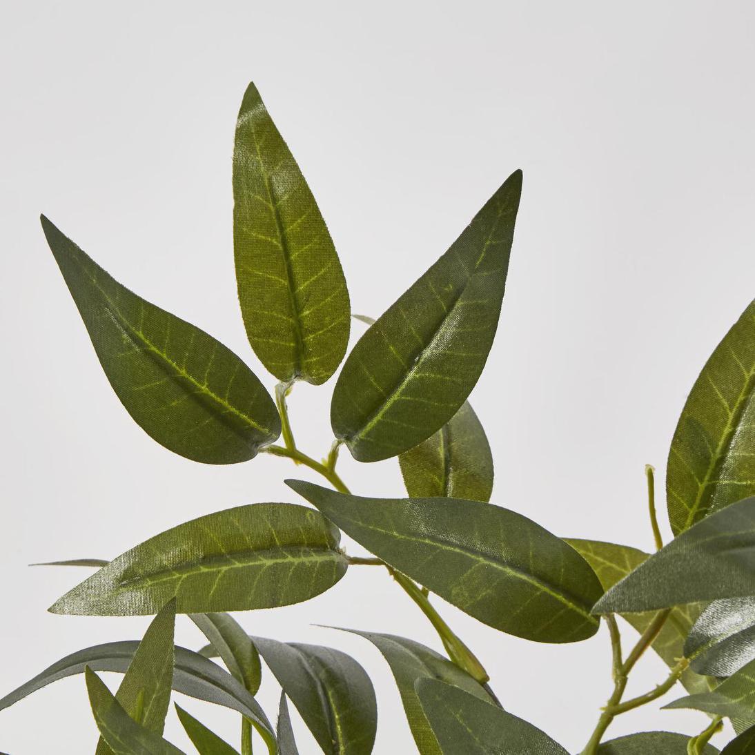 Green Ruscus Leaf Garland 182cm