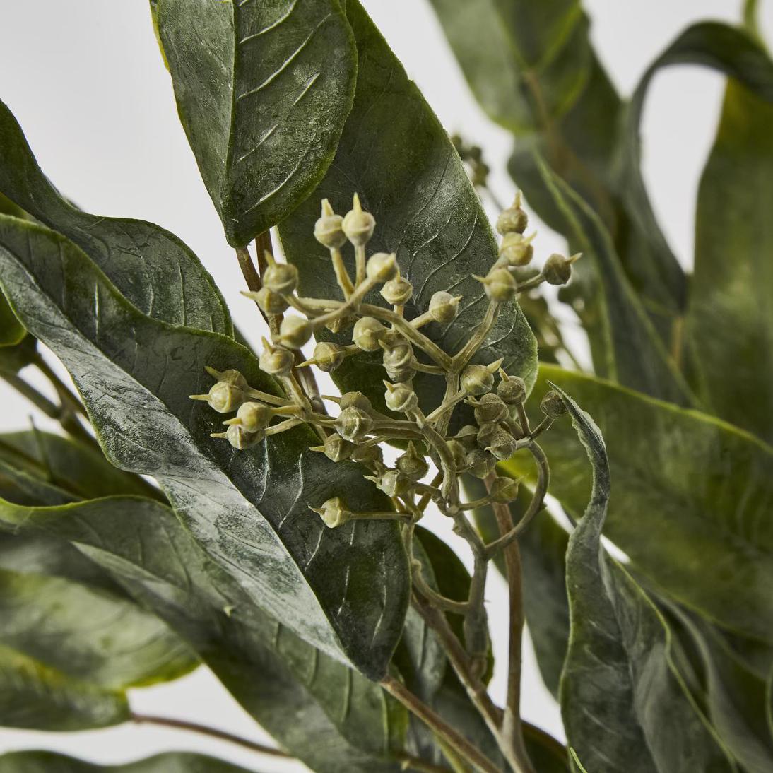 Eucalyptus Leaf Bush 53cm