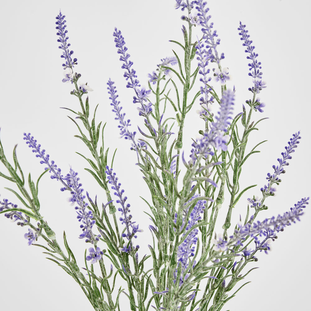 Lavender Spray Purple