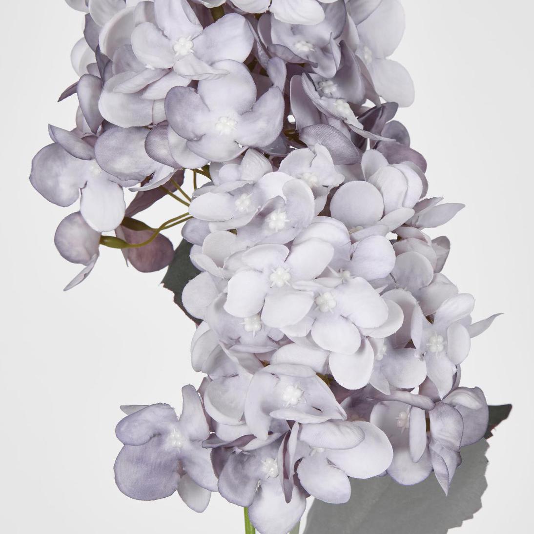 Lavender Cone Hydrangea 93cm