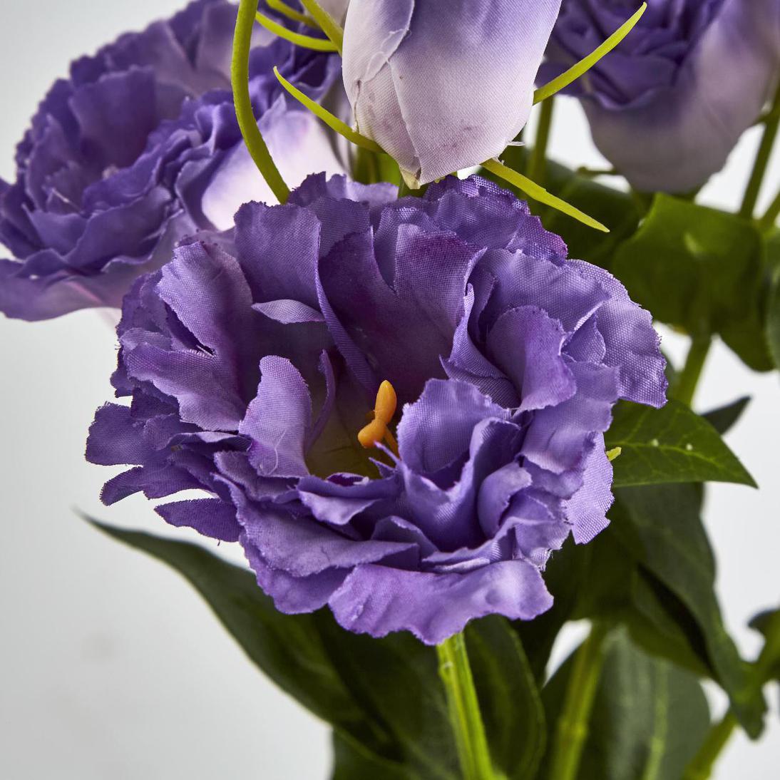 Lisianthus Bundle with Buds Purple