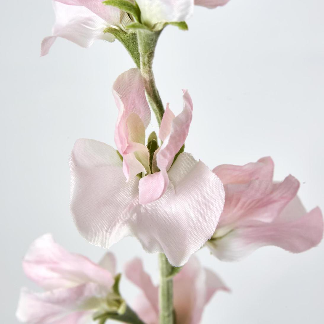 Sweetpea Light Pink