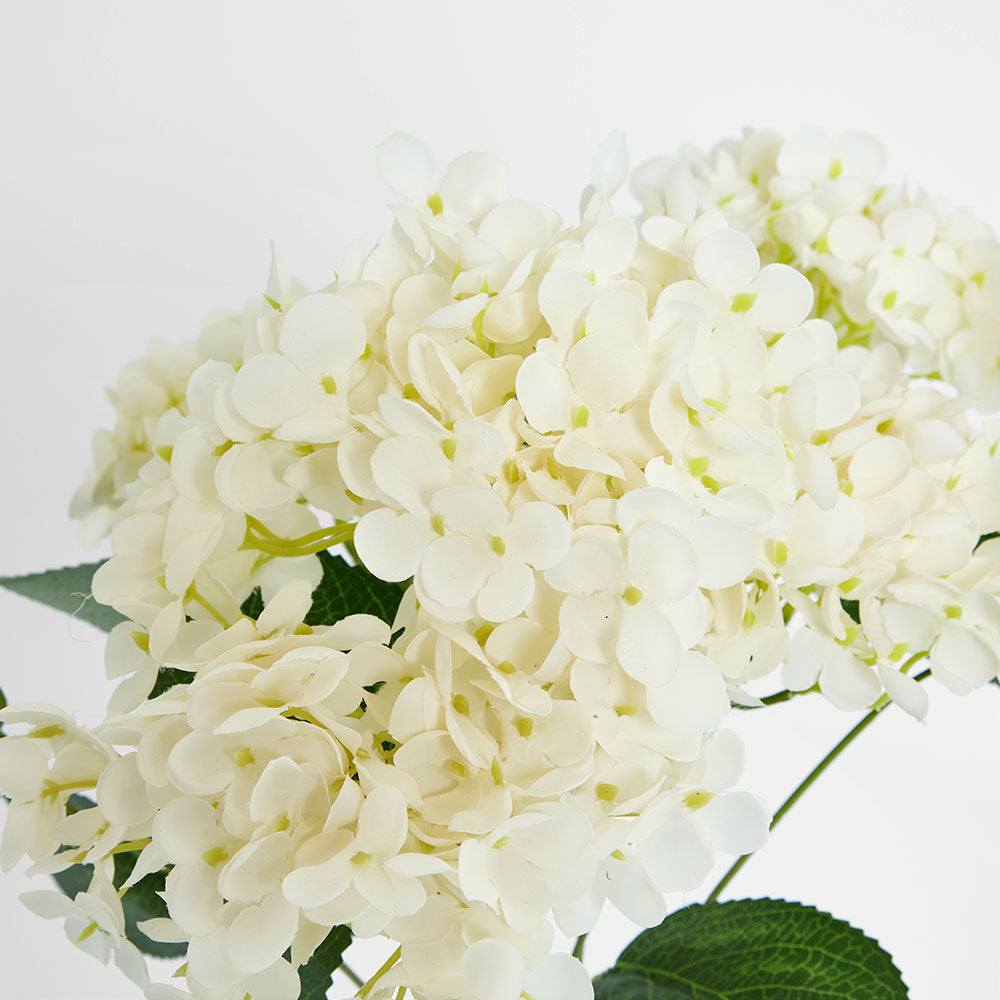Hydrangea Bush with 7 Heads White