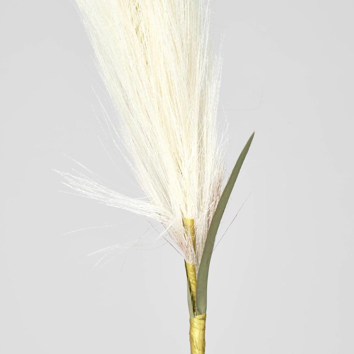 Pampas