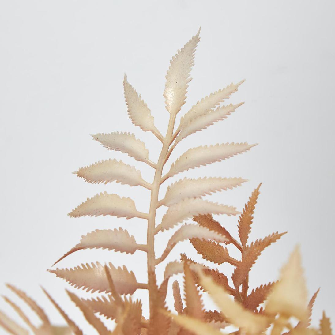 Fern Bush Pink