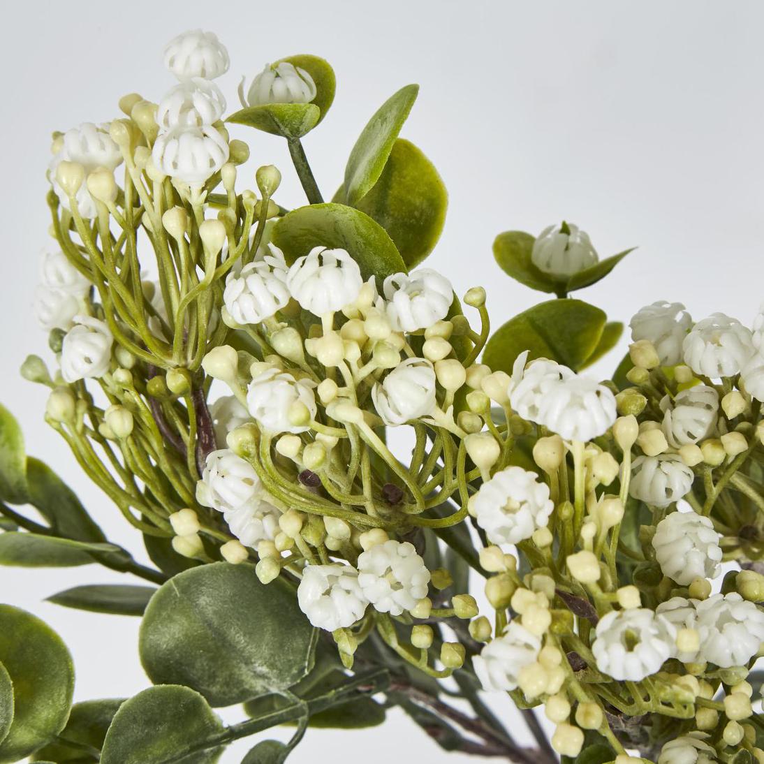 Flowering Bush White