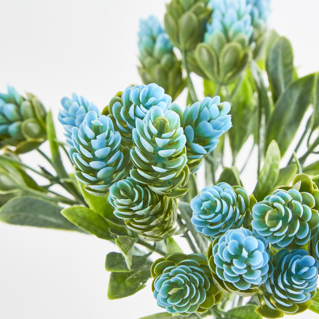 Hop Bush Blue