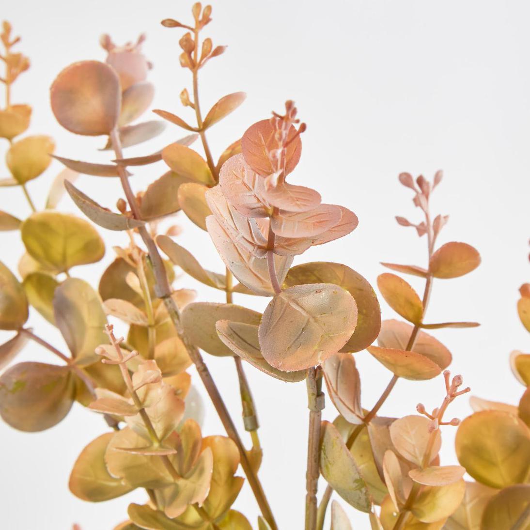 Eucalyptus Bush Yellow