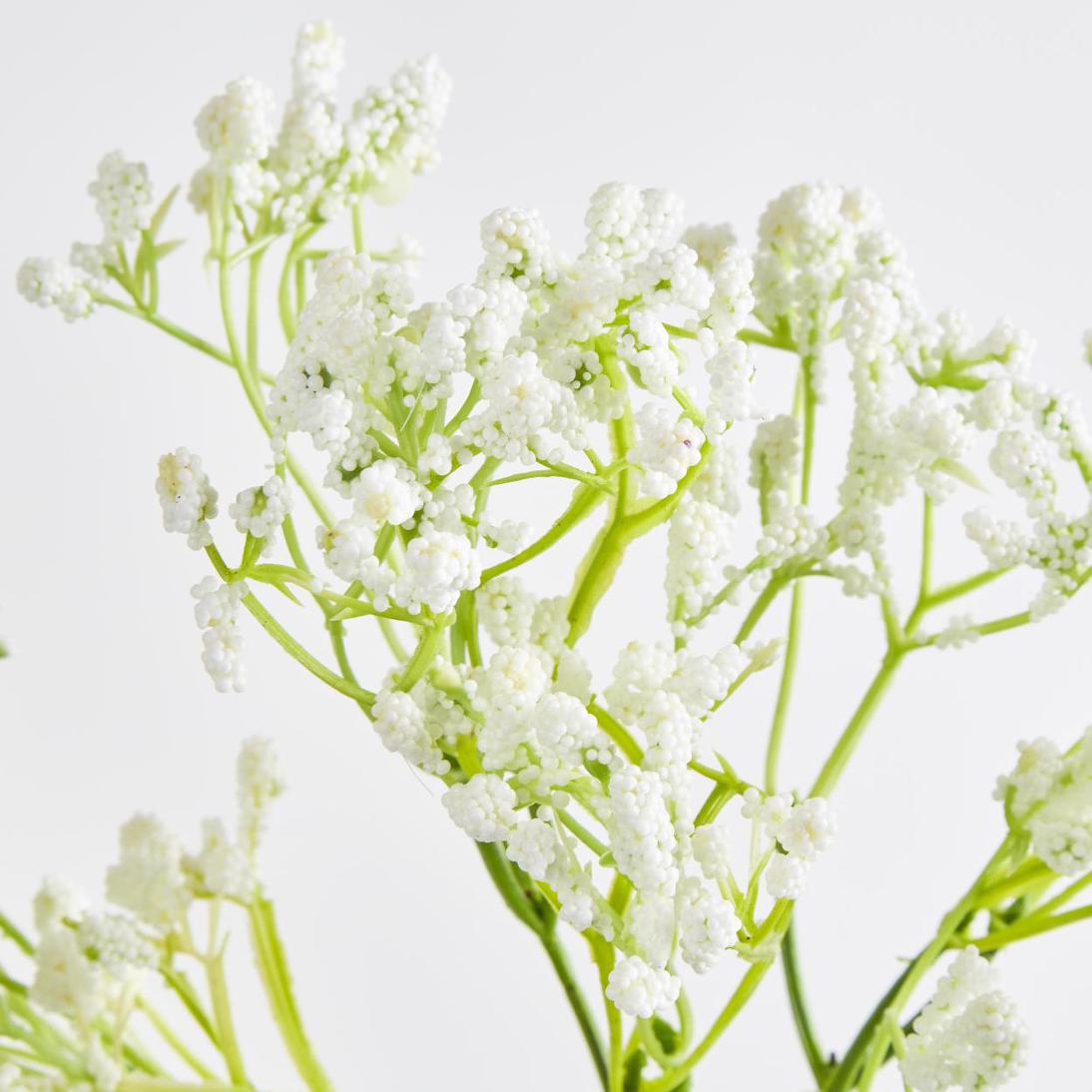 Baby's Breath Spray White