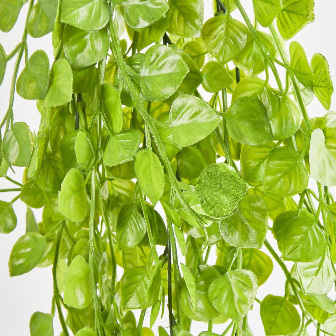 Hanging Buxus Greenery Light Green