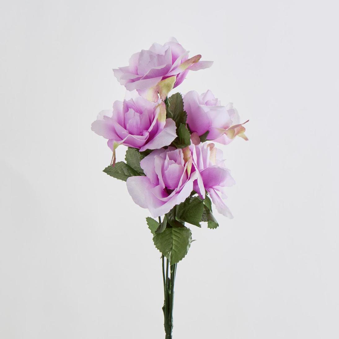 Rose Bush Asstd C Box of 60